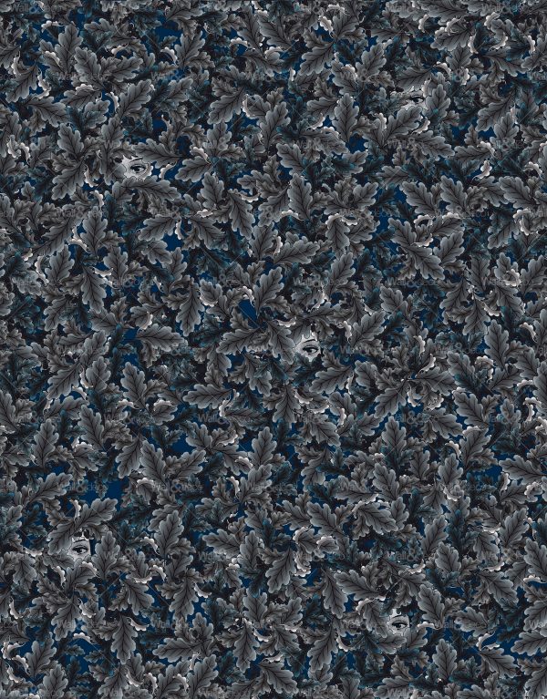 httpwadmcatalogproductimagewdng1701