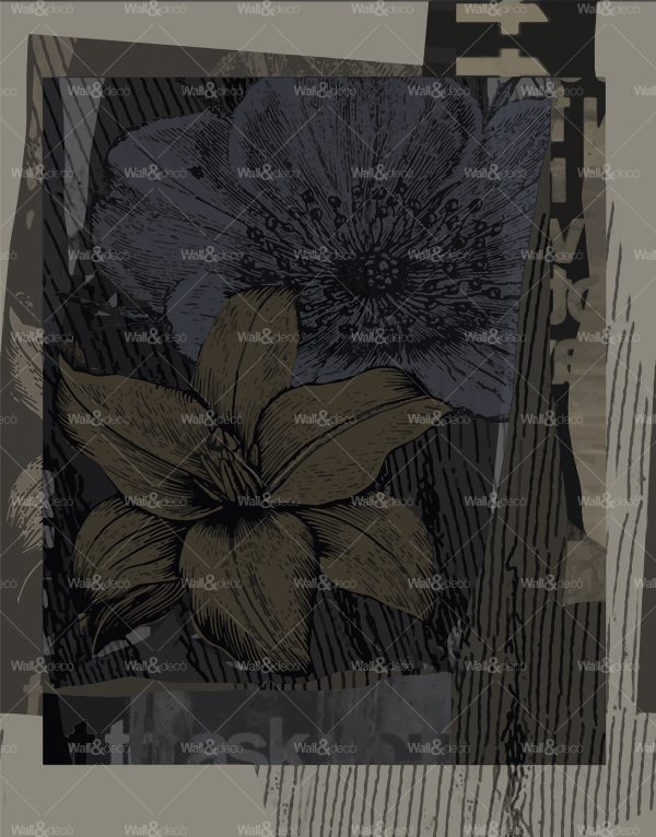 httpwadmcatalogproductimagewdor1601
