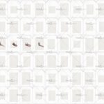 httpwadmcatalogproductimagewdpb1901