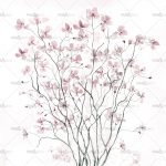 httpwadmcatalogproductimagewdra1602
