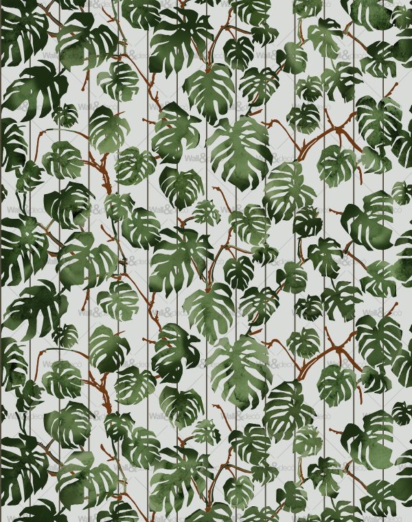 httpwadmcatalogproductimagewdri1901