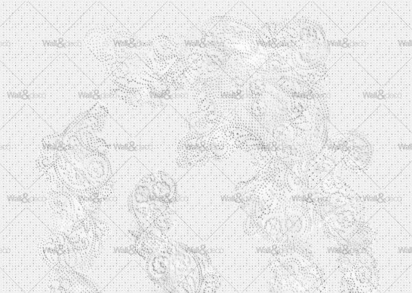 httpwadmcatalogproductimagewdsp1701