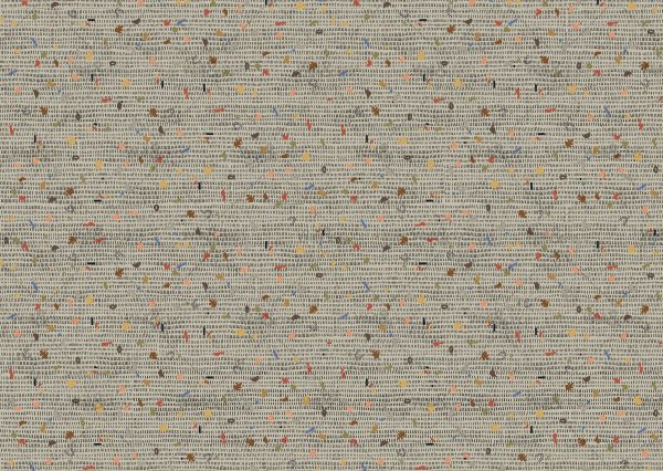 httpwadmcatalogproductimagewdsp1901