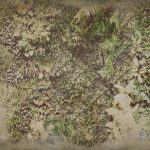 httpwadmcatalogproductimagewdvg1503
