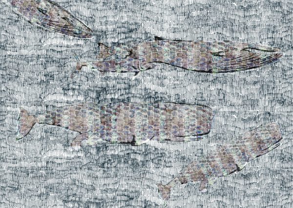 httpwadmcatalogproductimagewdvm1601