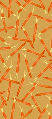 httpwadmproducts101wdnb050120hp