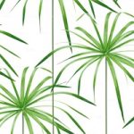 httpwadmproducts107wdch060120corr20607