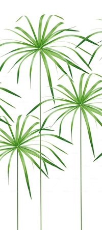 httpwadmproducts107wdch060120corr20607