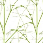 httpwadmproducts109wdch0603