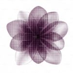 httpwadmproducts116pills203x3