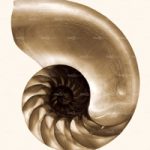 httpwadmproducts119nautilus202x3