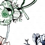 httpwadmproducts124bbfw0901