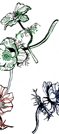 httpwadmproducts124bbfw0901