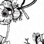 httpwadmproducts125bbfw0902