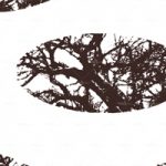 httpwadmproducts126bbef0901