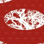 httpwadmproducts127bbef0902