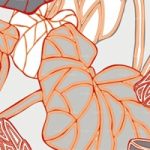 httpwadmproducts132bbam0902