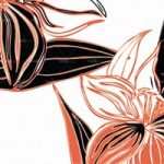 httpwadmproducts142bbeu080120abc