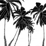 httpwadmproducts149hula20coconut204x3