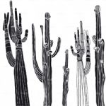 httpwadmproducts152desert20spirit203x3