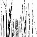 httpwadmproducts155bamboo202x3