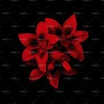 httpwadmproducts157wdnp0902