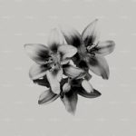 httpwadmproducts158wdnp0901