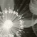 httpwadmproducts159wdop0902