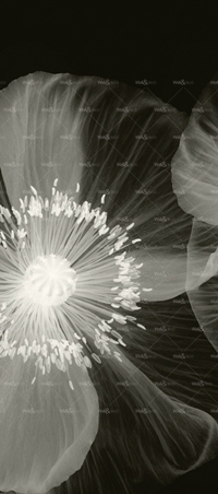 httpwadmproducts159wdop0902