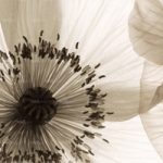 httpwadmproducts160wdop0901