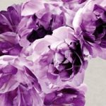 httpwadmproducts161wdae0902