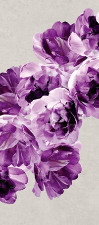 httpwadmproducts161wdae0902