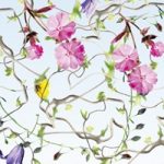 httpwadmproducts165wdge0901