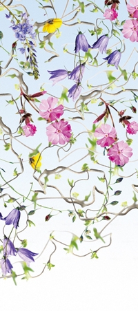 httpwadmproducts165wdge0901