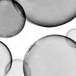 httpwadmproducts170wdoo0902