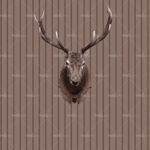 httpwadmproducts177wdnt0901