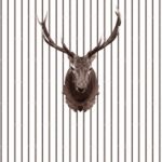 httpwadmproducts178wdnt0902