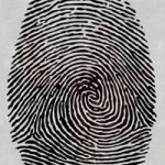 httpwadmproducts182wdri0902