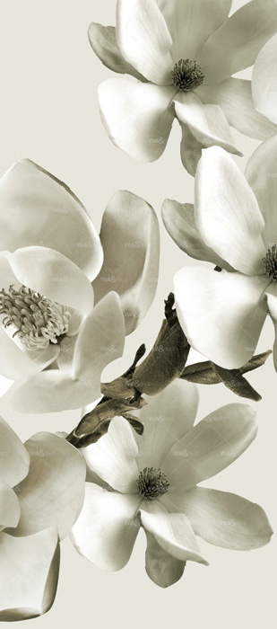 httpwadmproducts1wdai0801