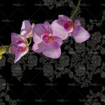 httpwadmproducts218gpw090420c20col202