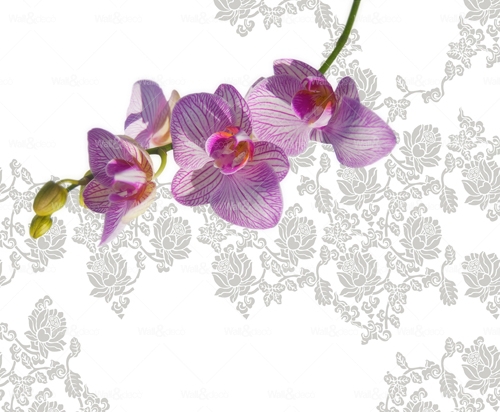 httpwadmproducts219gpw090420c