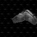 httpwadmproducts278wdwa1102