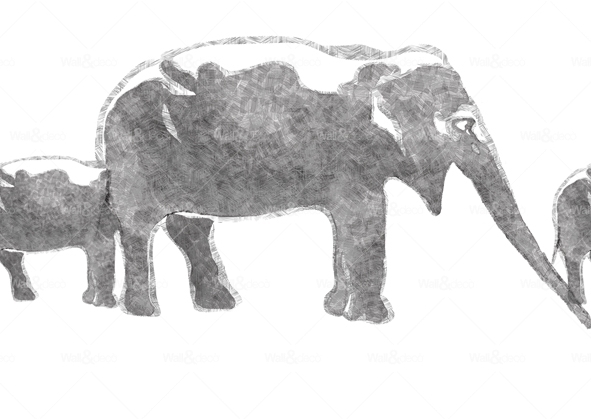 httpwadmproducts312bbae1101