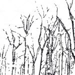 httpwadmproducts314bbbf1101