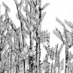 httpwadmproducts315bbbf1102