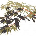 httpwadmproducts322bbwc1101