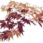 httpwadmproducts323bbwc1102