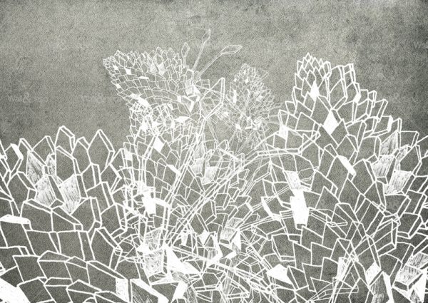 httpwadmproducts383wddr120120pan20a