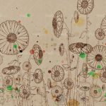 httpwadmproducts509wddr1302