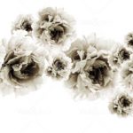 httpwadmproducts51wdai0802